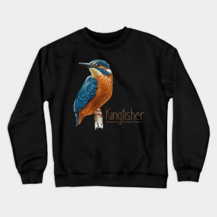 Kingfisher bird - Wildlife observation - birs illustration Crewneck Sweatshirt